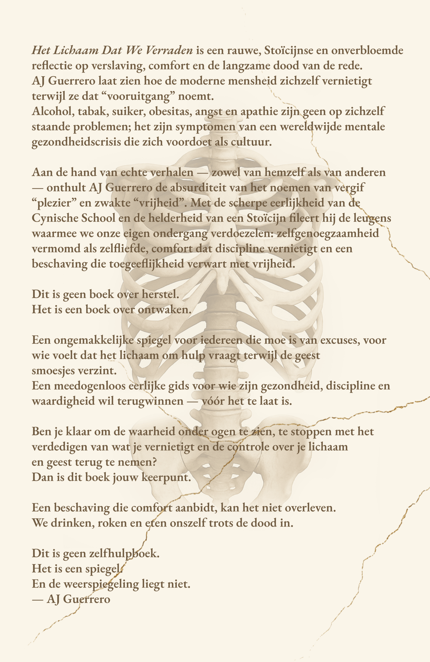 THE DUTCH BODY WEB 2
